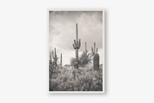 Load image into Gallery viewer, SUPERSTITION WILDERNESS IN BLACK & WHITE