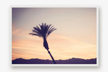 Load image into Gallery viewer, A PALM TREE IN PALM DESERT