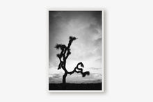Load image into Gallery viewer, A JOSHUA TREE IN BLACK & WHITE