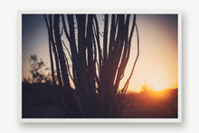 Load image into Gallery viewer, SUNRISE IN JOSHUA TREE