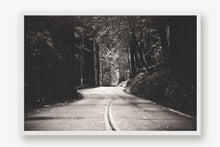 Load image into Gallery viewer, A ROAD IN BIG BASIN REDWOODS STATE PARK IN BLACK & WHITE
