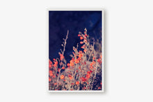 Load image into Gallery viewer, WILD POPPIES AT TWILIGHT