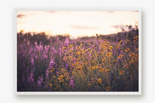 Load image into Gallery viewer, CALIFORNIA SUPER BLOOM