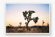 Load image into Gallery viewer, JOSHUA TREE AT TWILIGHT