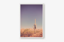 Load image into Gallery viewer, SAGUARO IN THE ARIZONA DESERT