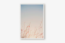 Load image into Gallery viewer, WILD POPPIES IN ARIZONA