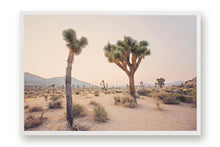 Load image into Gallery viewer, TWO TREES IN JOSHUA TREE