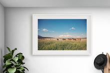 Load image into Gallery viewer, WILD HORSES IN WYOMING