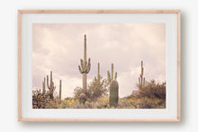 Load image into Gallery viewer, SAGUARO IN THE SUPERSTITION WILDERNESS