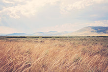 Load image into Gallery viewer, MONTANA AFTER THE RAIN
