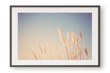 Load image into Gallery viewer, WILD CALIFORNIA PAMPAS GRASS
