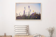 Load image into Gallery viewer, WILD LAVENDER AT TWILIGHT
