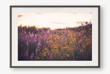 Load image into Gallery viewer, CALIFORNIA SUPER BLOOM
