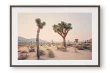 Load image into Gallery viewer, TWO TREES IN JOSHUA TREE
