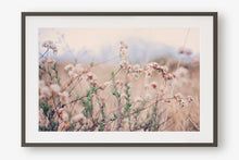 Load image into Gallery viewer, CALIFORNIA WILD FLOWERS IN WILDWOOD CANYON
