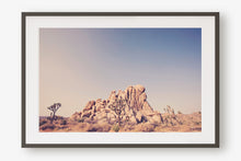 Load image into Gallery viewer, JOSHUA TREE IN SEPTEMBER 2
