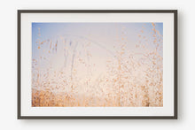 Load image into Gallery viewer, CALIFORNIA GOLDEN GRASS

