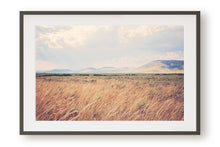 Load image into Gallery viewer, MONTANA AFTER THE RAIN
