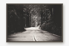 Load image into Gallery viewer, A ROAD IN BIG BASIN REDWOODS STATE PARK IN BLACK &amp; WHITE
