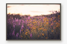 Load image into Gallery viewer, CALIFORNIA SUPER BLOOM
