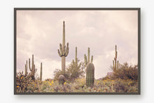 Load image into Gallery viewer, SAGUARO IN THE SUPERSTITION WILDERNESS
