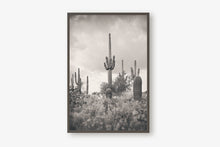 Load image into Gallery viewer, SUPERSTITION WILDERNESS IN BLACK &amp; WHITE
