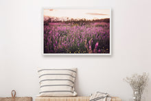 Load image into Gallery viewer, CALIFORNIA LAVENDER SUPER BLOOM
