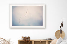 Load image into Gallery viewer, BIRDS FLYING HIGH IN SAN FRANCISCO
