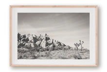 Load image into Gallery viewer, JOSHUA TREE ROCK FORMATION IN BLACK &amp; WHITE
