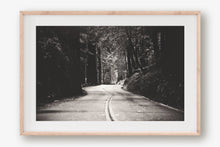 Load image into Gallery viewer, A ROAD IN BIG BASIN REDWOODS STATE PARK IN BLACK &amp; WHITE
