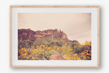 Load image into Gallery viewer, ARIZONA MOUNTAINS &amp; WILD FLOWERS
