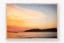 Load image into Gallery viewer, BIRDS FLYING OVER CARMEL BEACH
