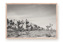 Load image into Gallery viewer, JOSHUA TREE ROCK FORMATION IN BLACK &amp; WHITE
