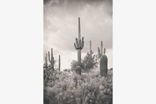 Load image into Gallery viewer, SUPERSTITION WILDERNESS IN BLACK &amp; WHITE
