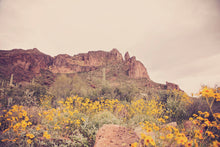 Load image into Gallery viewer, ARIZONA MOUNTAINS &amp; WILD FLOWERS
