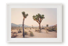 Load image into Gallery viewer, TWO TREES IN JOSHUA TREE
