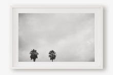 Load image into Gallery viewer, CALIFORNIA PALM TREES 2
