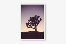 Load image into Gallery viewer, A JOSHUA TREE AT TWILIGHT 2

